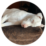 17 kenmore guest house cape town